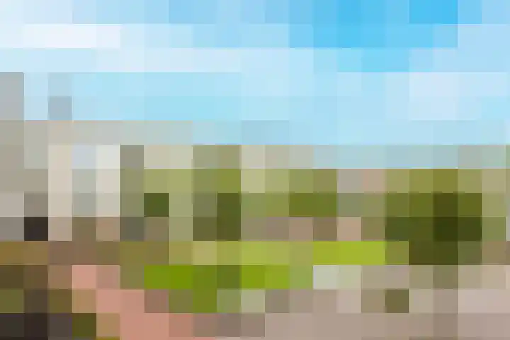Goudmijnhof 138 Oss thumbnail 14