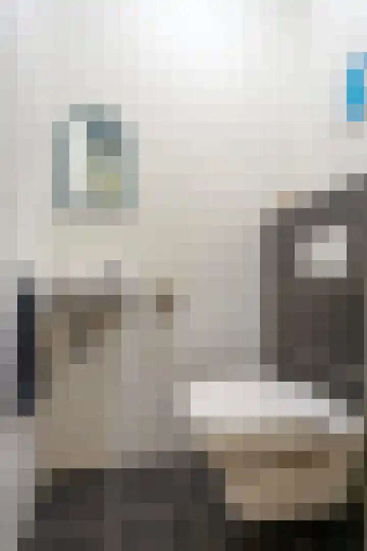 Goudmijnhof 138 Oss thumbnail 19