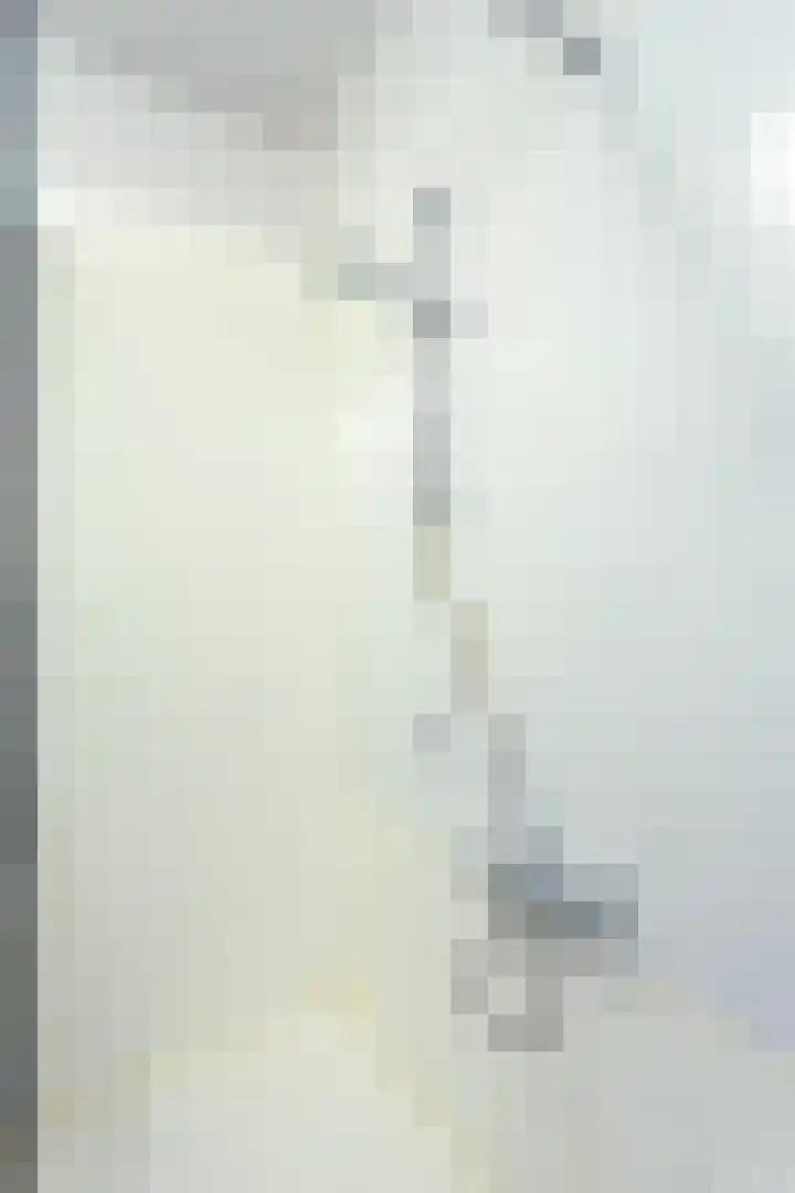 Goudmijnhof 138 Oss thumbnail 21
