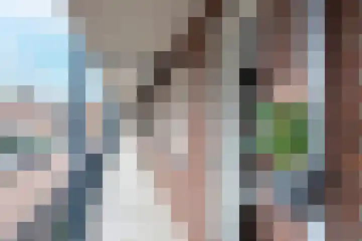 Goudmijnhof 138 Oss thumbnail 26