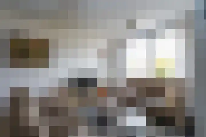 Goudmijnhof 138 Oss thumbnail 5
