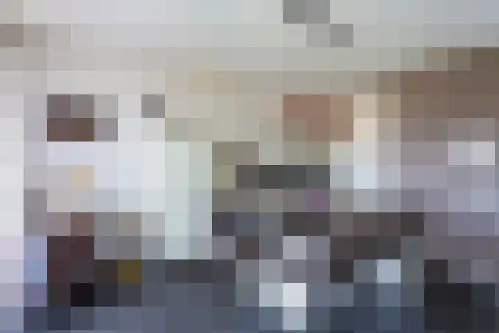 Goudmijnhof 138 Oss thumbnail 8
