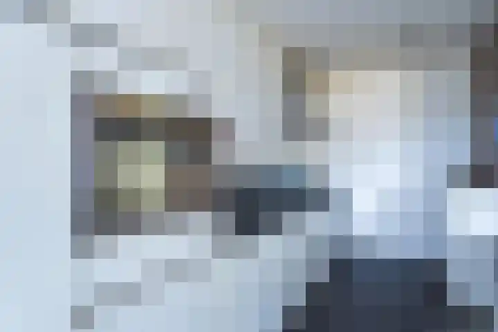Goudmijnhof 138 Oss thumbnail 9
