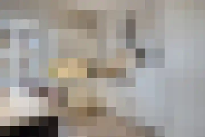 Goudmijnhof 184 Oss thumbnail 15