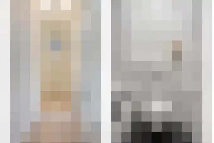 Goudmijnhof 184 Oss thumbnail 7