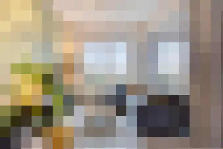 Goudmijnhof 184 Oss thumbnail 9