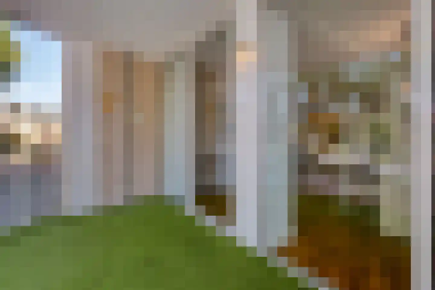Goudmijnhof 4 Oss thumbnail 23