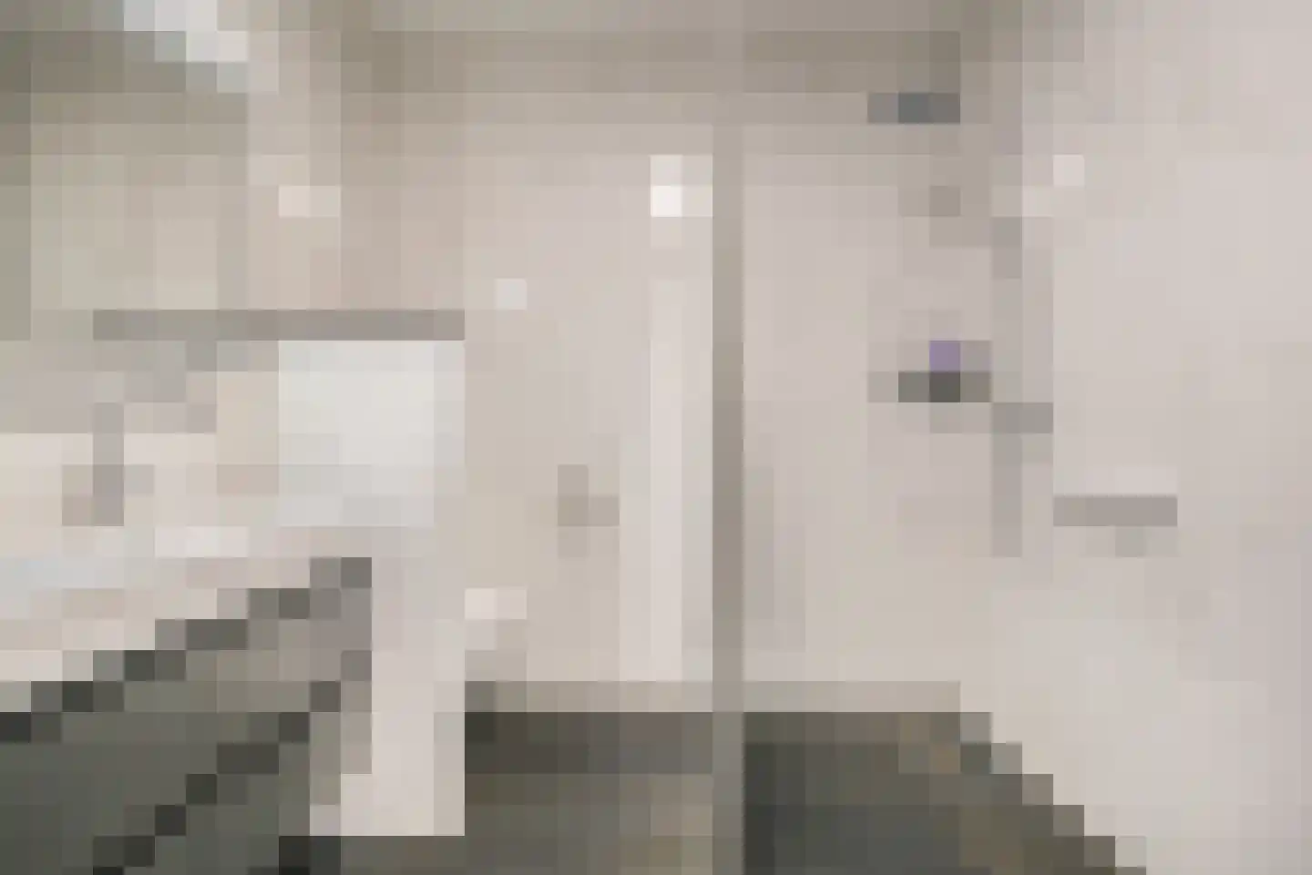 Goudmijnhof 4 Oss thumbnail 27
