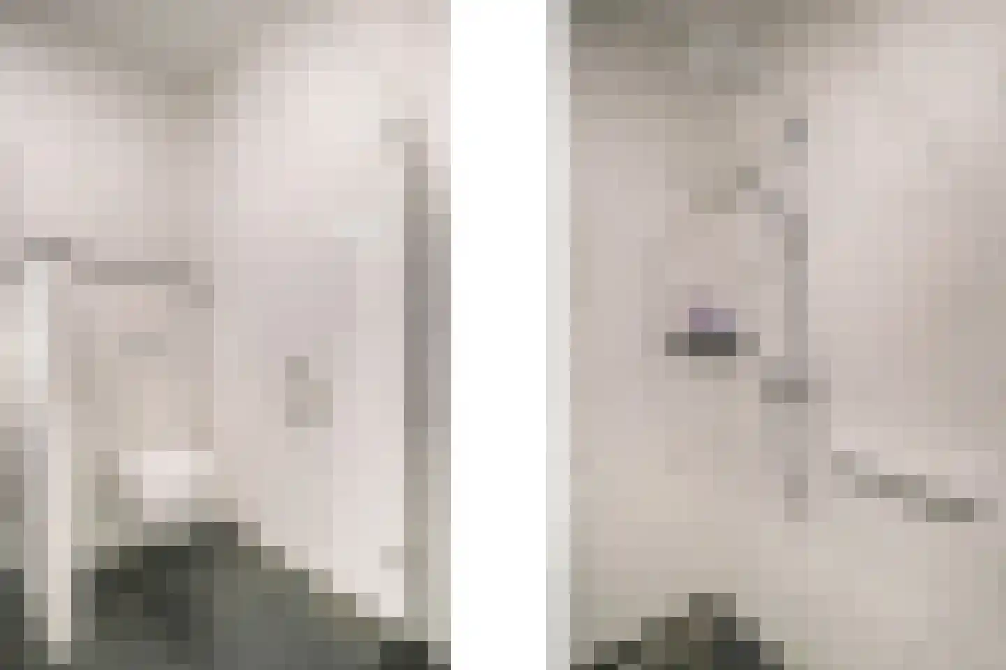 Goudmijnhof 4 Oss thumbnail 28