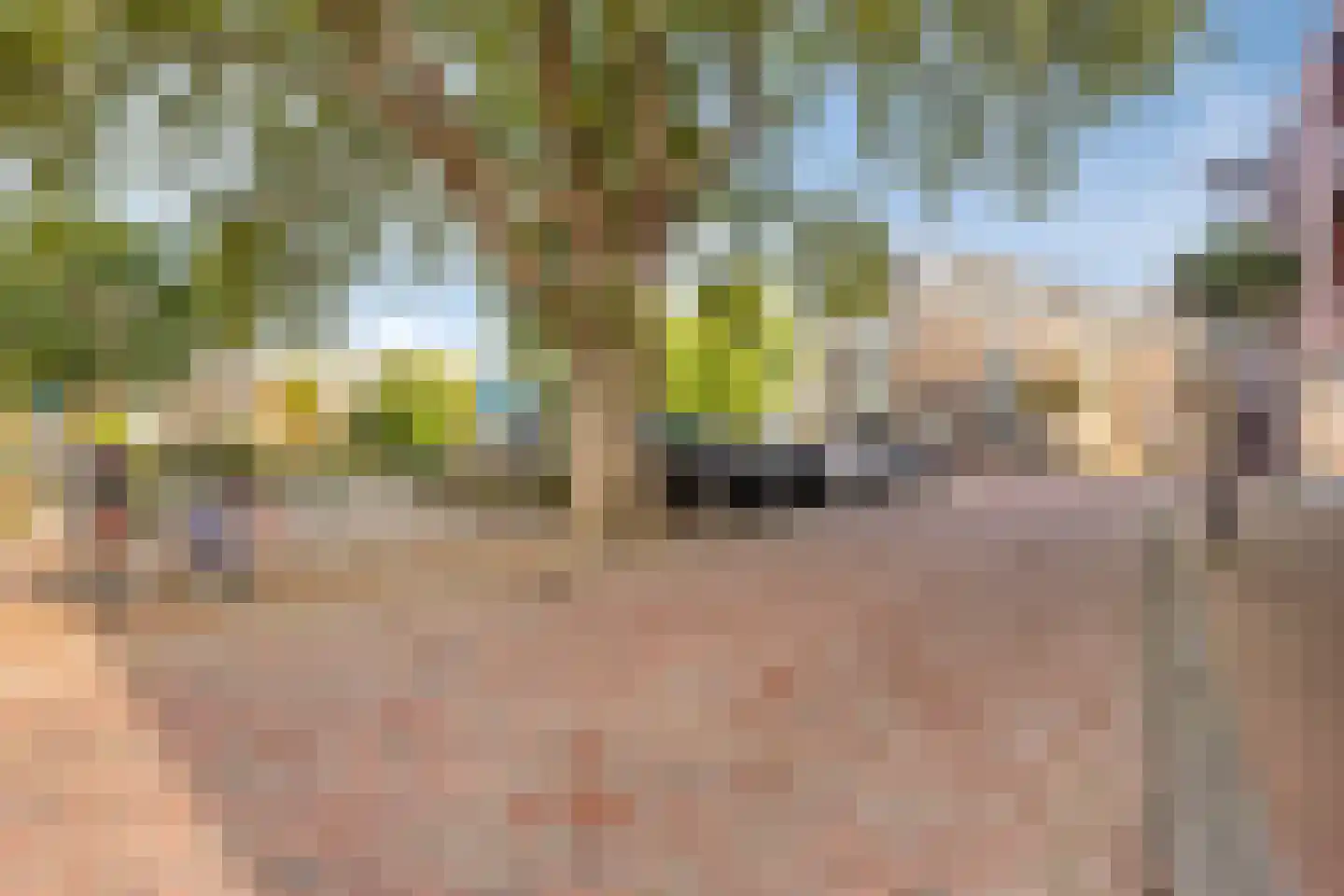 Goudmijnhof 4 Oss thumbnail 39