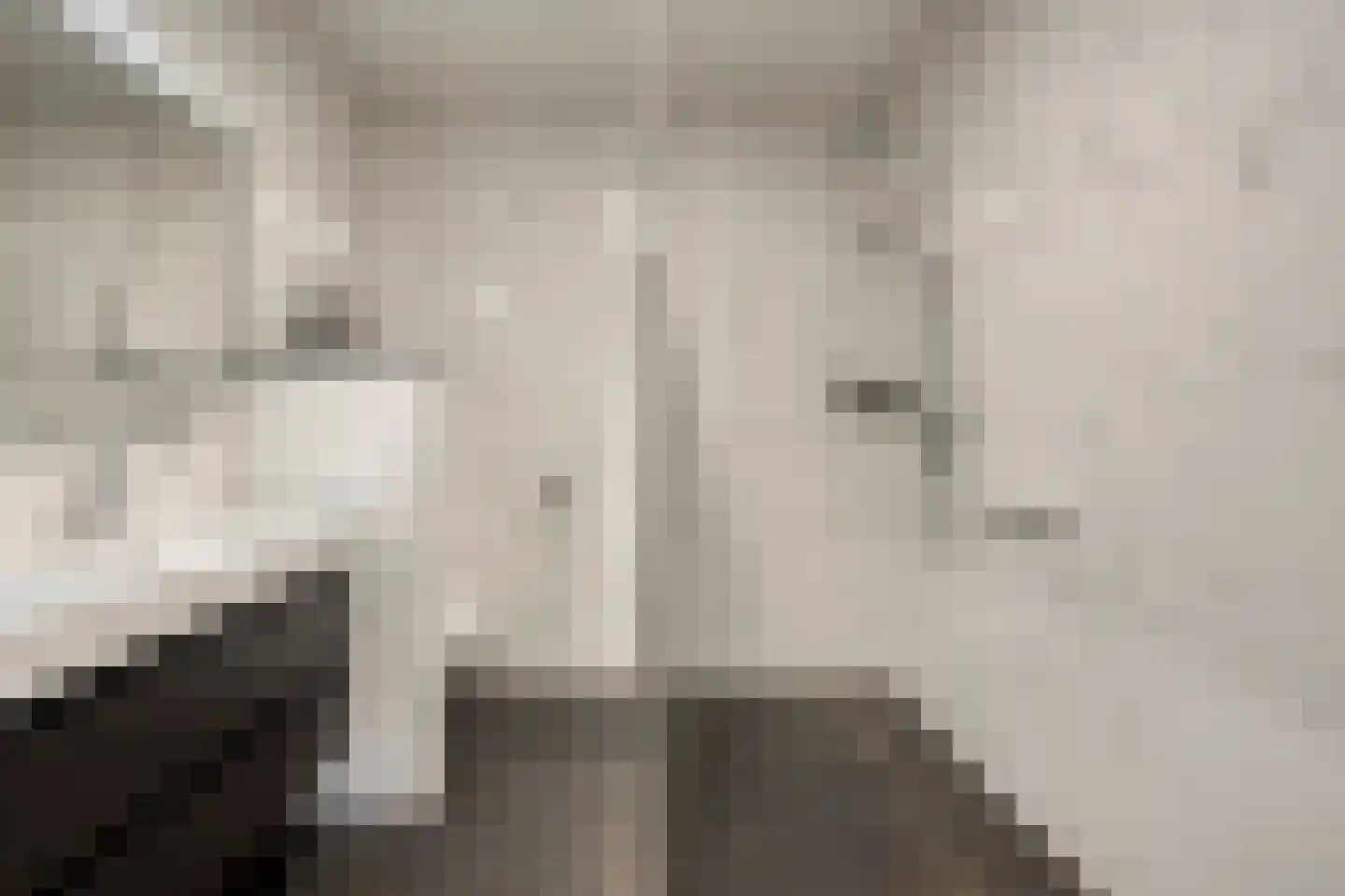 Goudmijnhof 4 Oss thumbnail 4