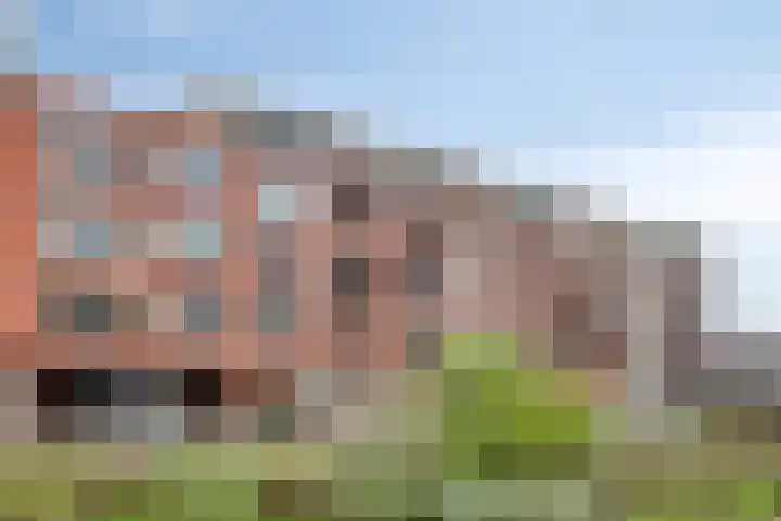Goudmijnhof 58 dans Oss