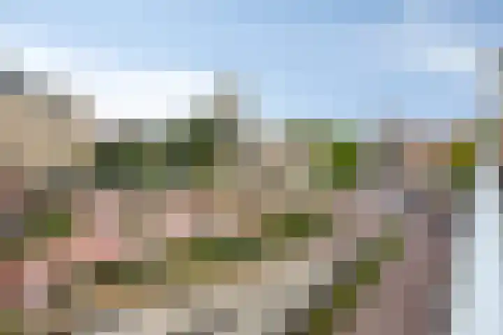 Goudmijnhof 58 Oss thumbnail 28