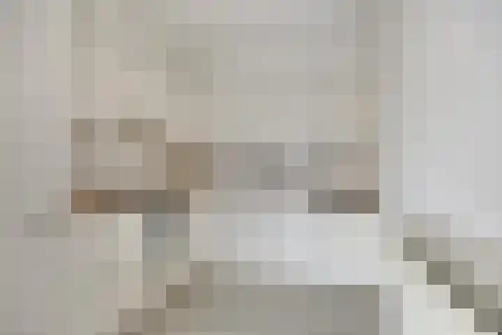 Goudmijnhof 58 Oss thumbnail 4