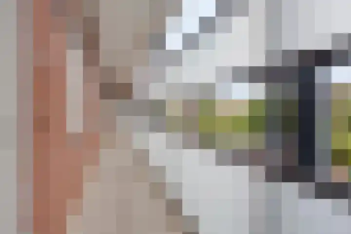 Goudmijnstraat 21 F Oss thumbnail 12