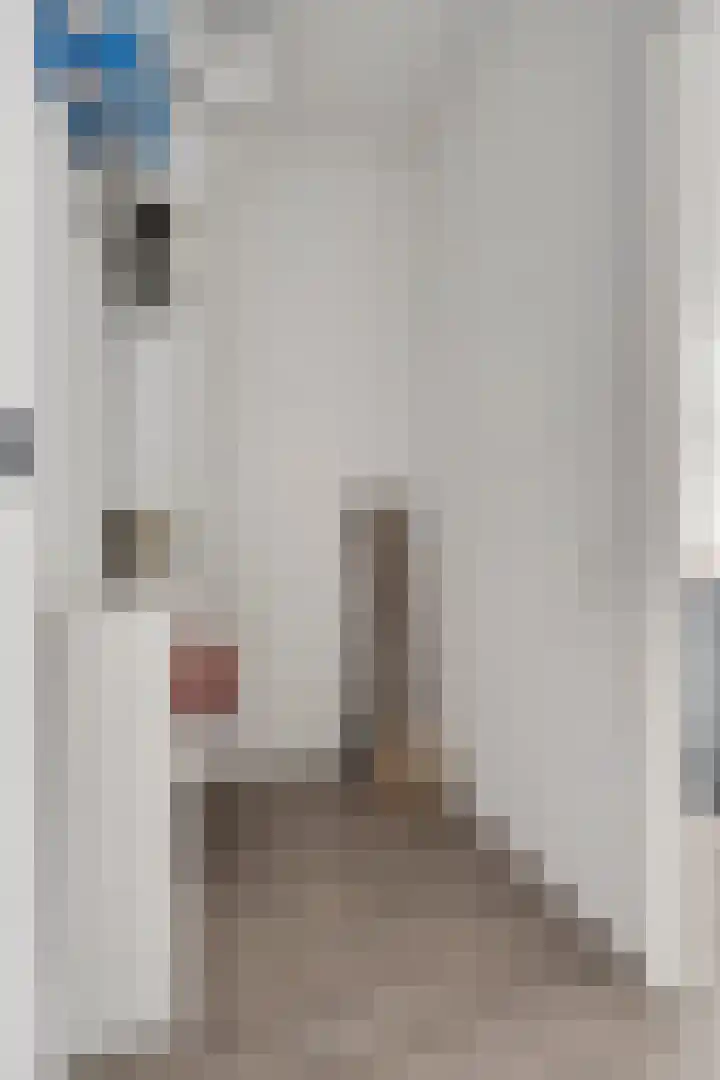 Goudmijnstraat 21 F Oss thumbnail 31