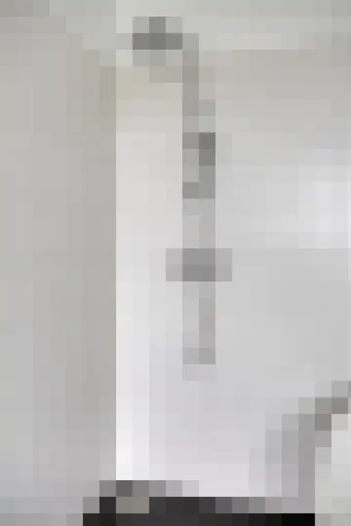 Goudmijnstraat 21 F Oss thumbnail 39