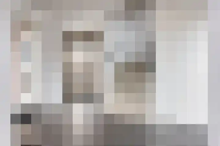 Goudmijnstraat 21 F Oss thumbnail 9