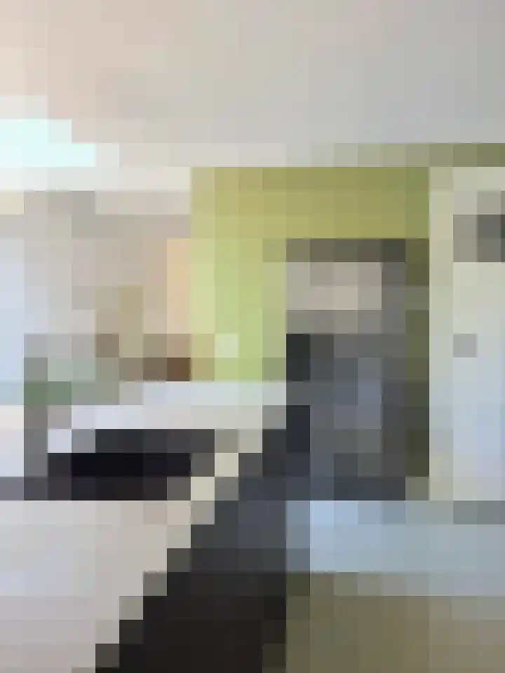 Goudmijnstraat 47 Oss thumbnail 11