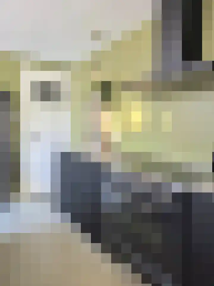 Goudmijnstraat 47 Oss thumbnail 12