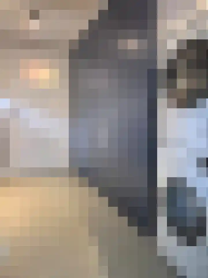 Goudmijnstraat 47 Oss thumbnail 14