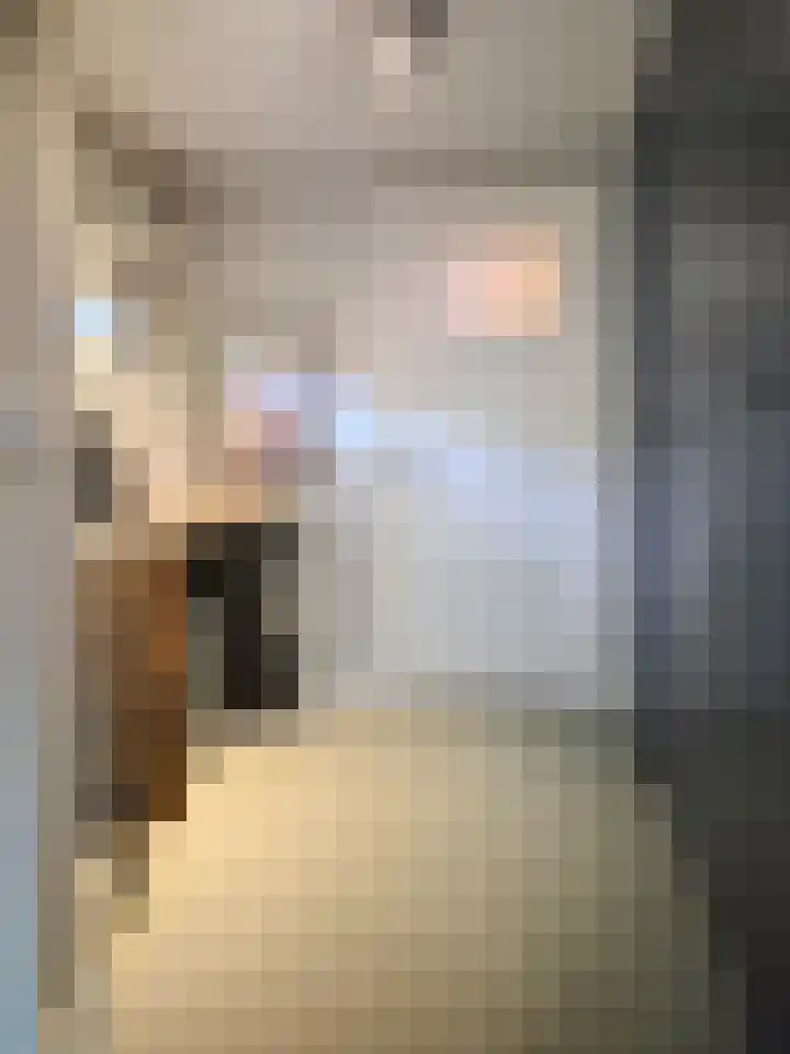 Goudmijnstraat 47 Oss thumbnail 15