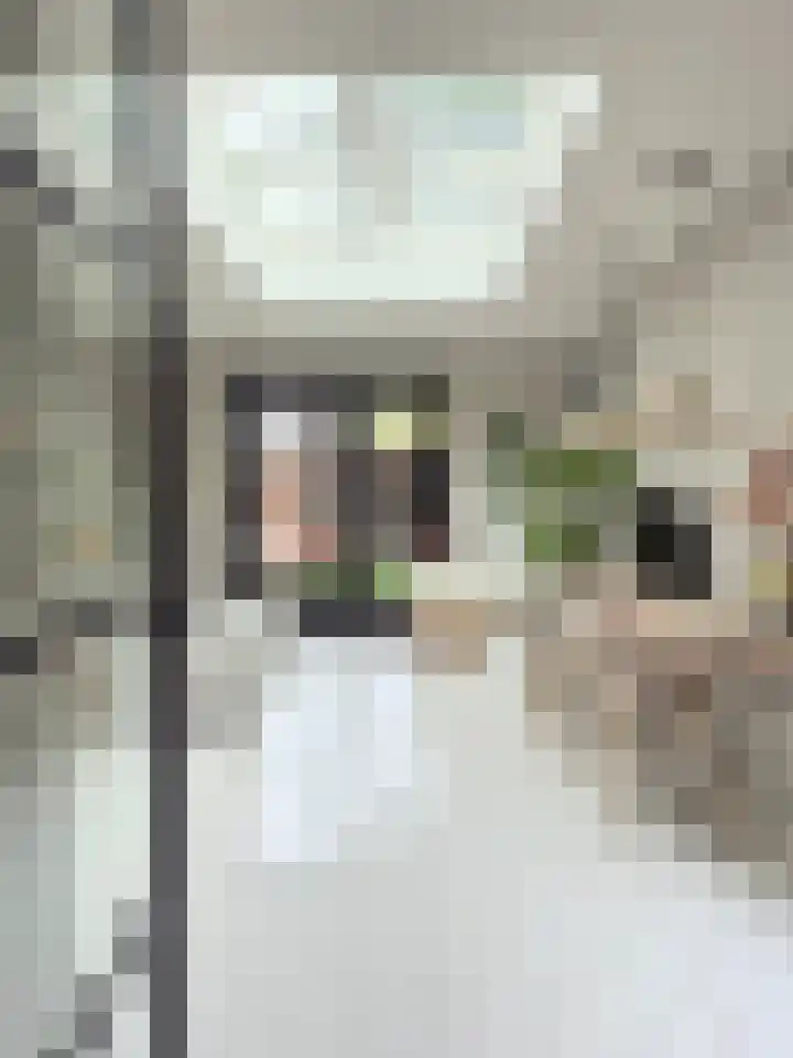 Goudmijnstraat 47 Oss thumbnail 17