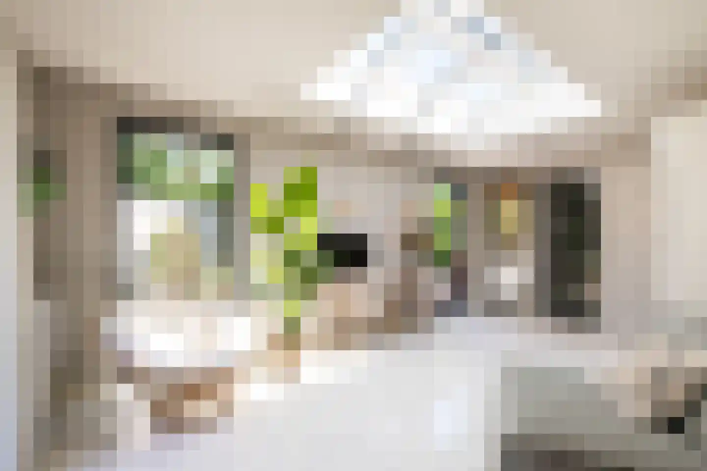 Goudmijnstraat 47 Oss thumbnail 18