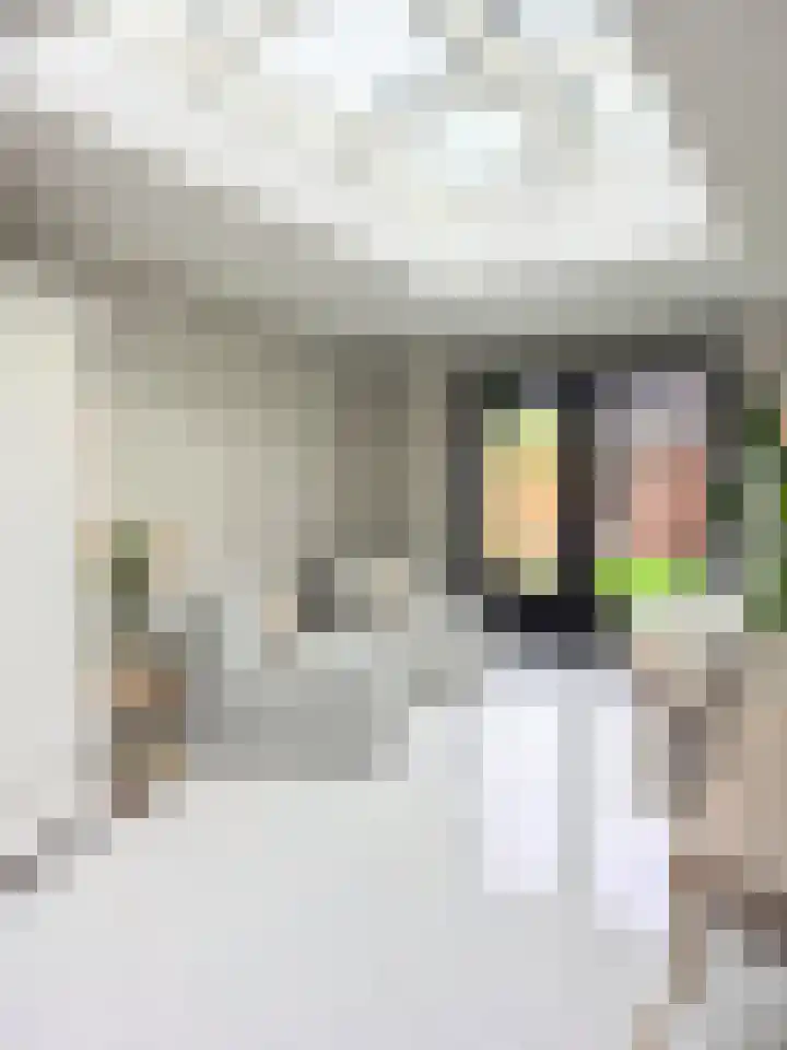 Goudmijnstraat 47 Oss thumbnail 18