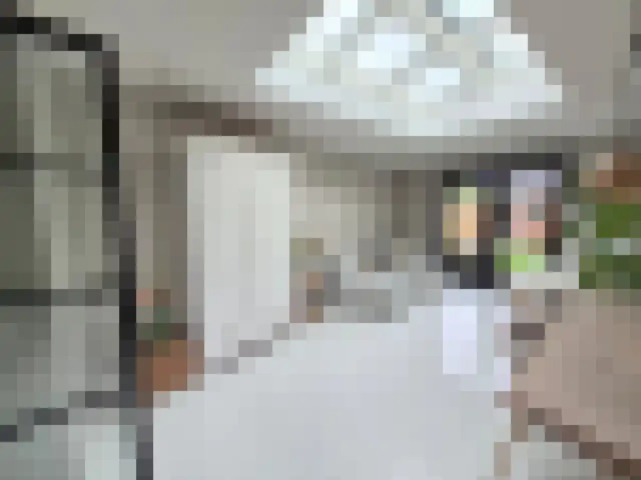Goudmijnstraat 47 Oss thumbnail 19