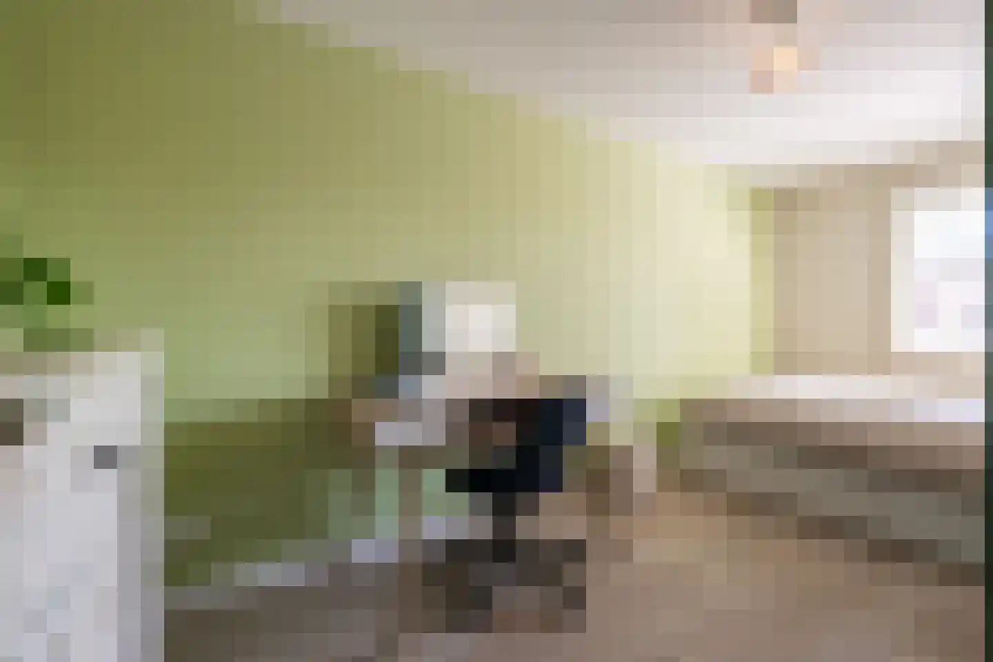 Goudmijnstraat 47 Oss thumbnail 20