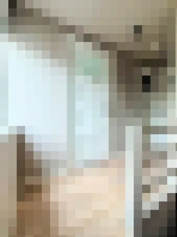 Goudmijnstraat 47 Oss thumbnail 21