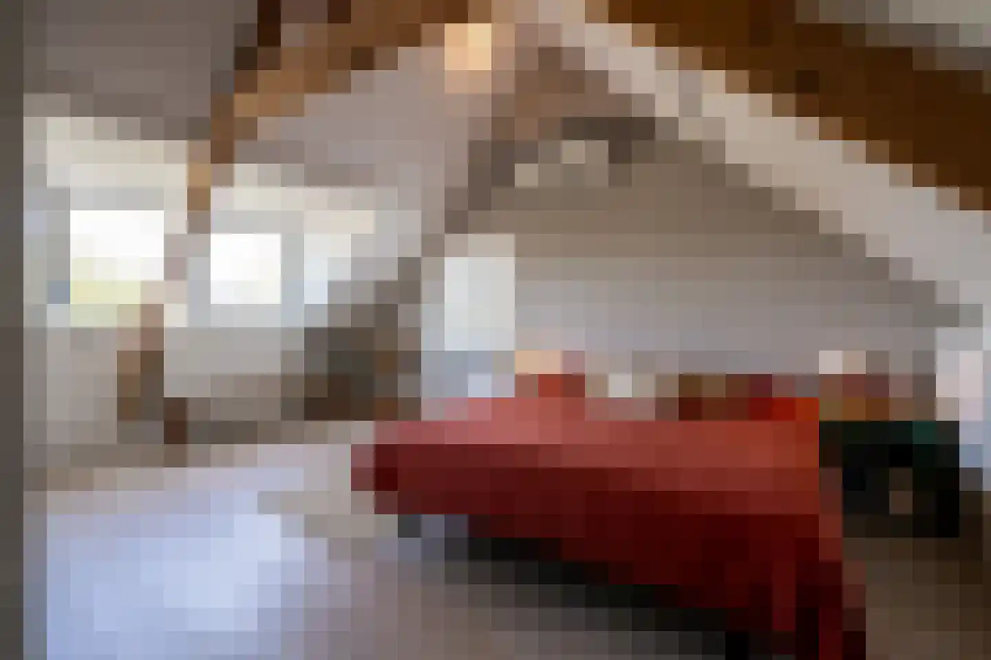 Goudmijnstraat 47 Oss thumbnail 22