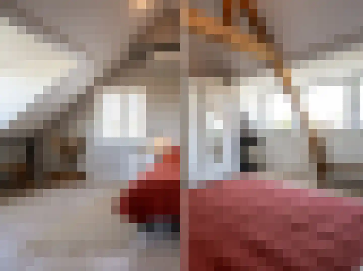 Goudmijnstraat 47 Oss thumbnail 23