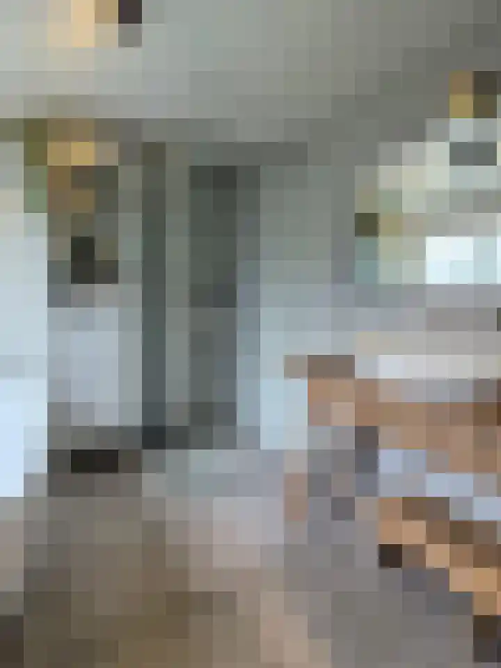 Goudmijnstraat 47 Oss thumbnail 24