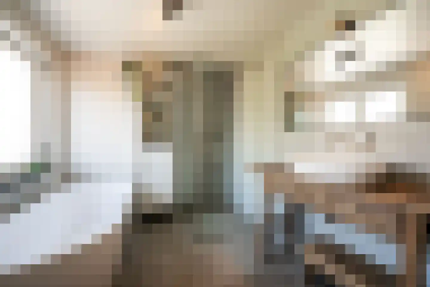 Goudmijnstraat 47 Oss thumbnail 24