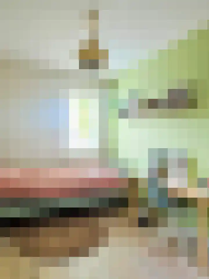 Goudmijnstraat 47 Oss thumbnail 25
