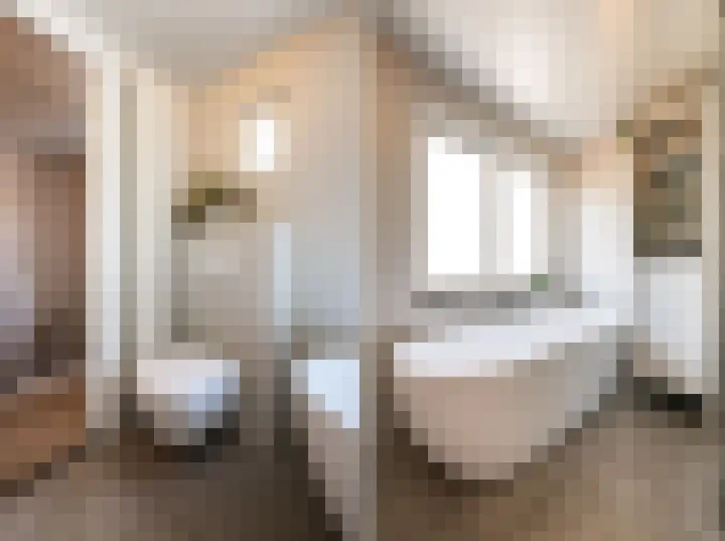Goudmijnstraat 47 Oss thumbnail 25