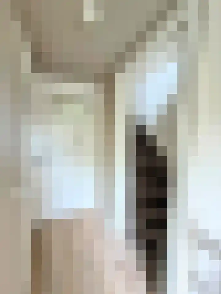 Goudmijnstraat 47 Oss thumbnail 29