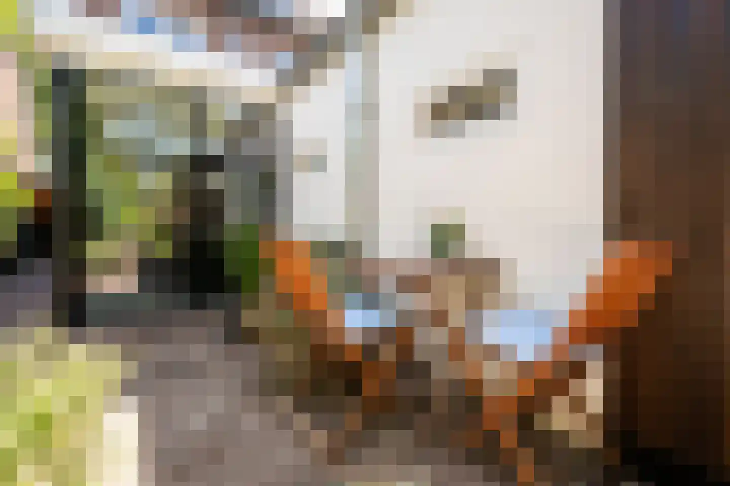 Goudmijnstraat 47 Oss thumbnail 30