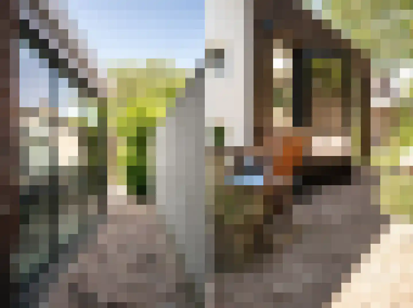 Goudmijnstraat 47 Oss thumbnail 31