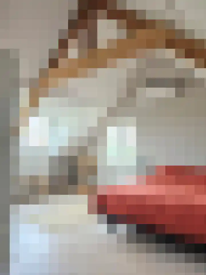 Goudmijnstraat 47 Oss thumbnail 31