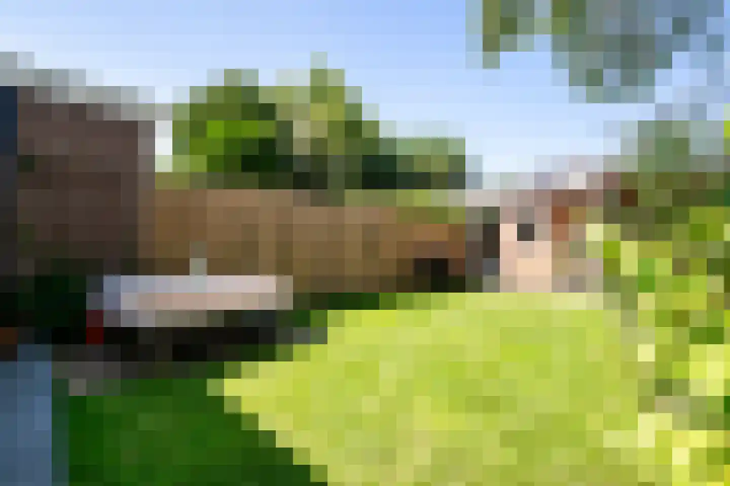 Goudmijnstraat 47 Oss thumbnail 32