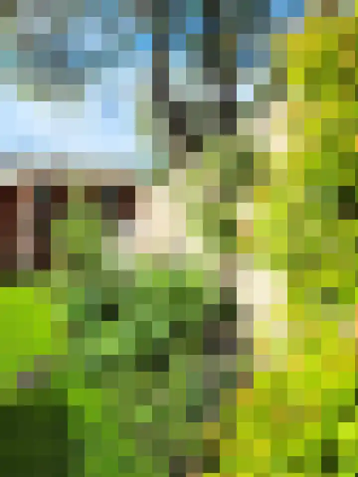 Goudmijnstraat 47 Oss thumbnail 35