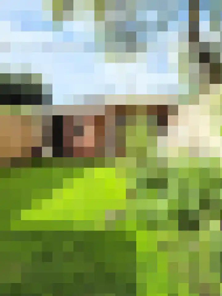 Goudmijnstraat 47 Oss thumbnail 36
