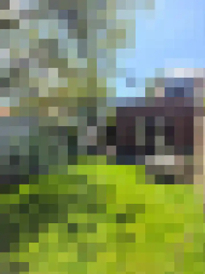 Goudmijnstraat 47 Oss thumbnail 37
