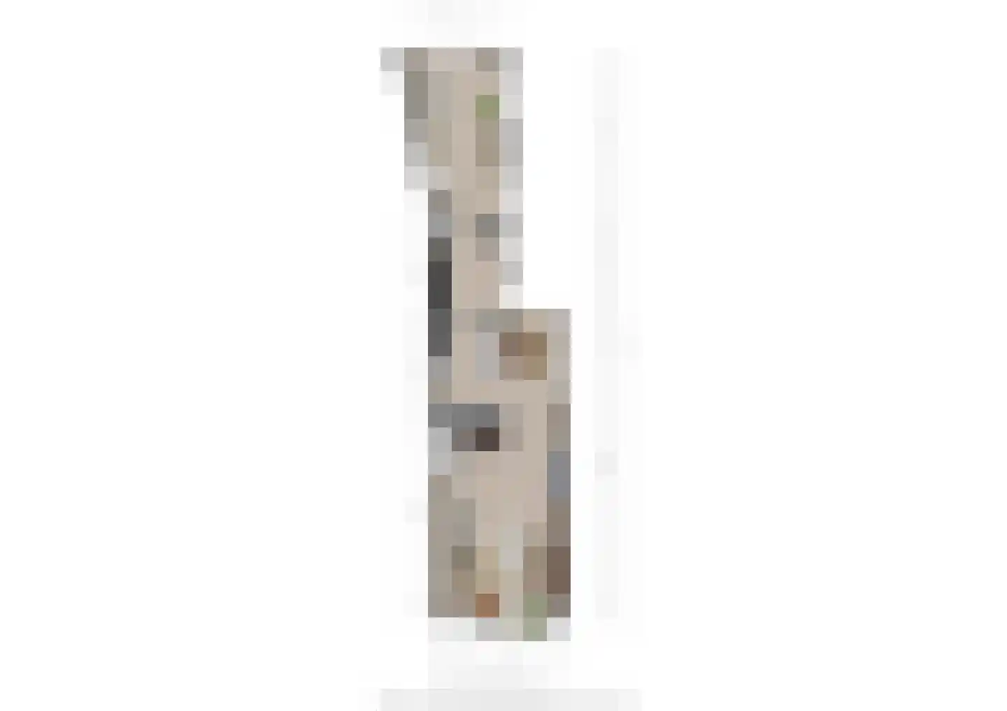 Goudmijnstraat 47 Oss thumbnail 38