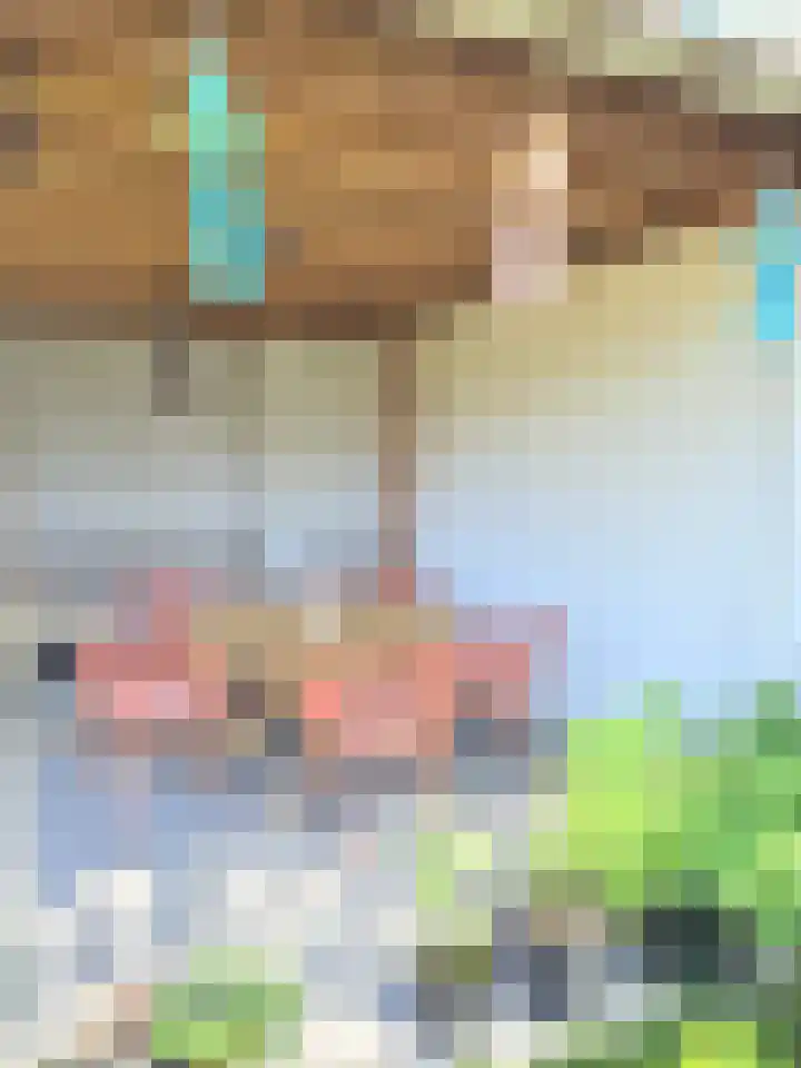 Goudmijnstraat 47 Oss thumbnail 40