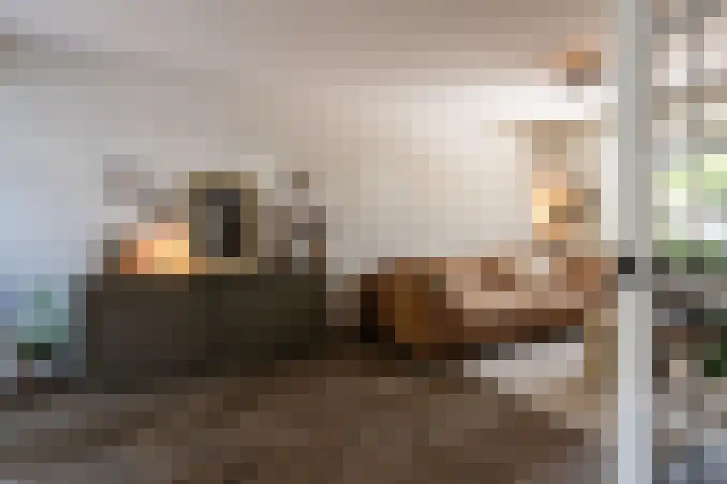 Goudmijnstraat 47 Oss thumbnail 7