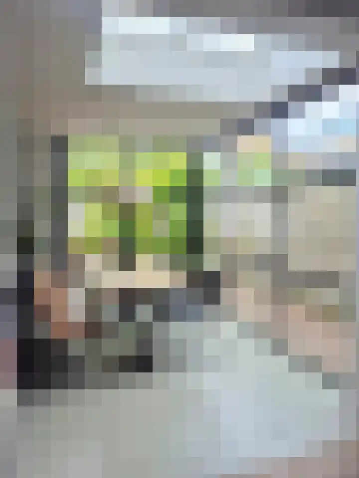 Goudmijnstraat 47 Oss thumbnail 7